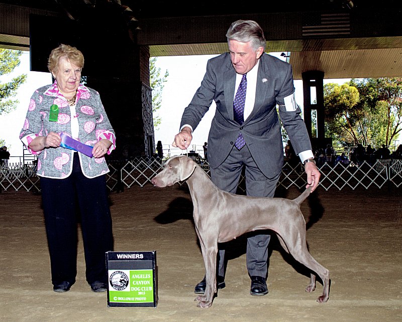 Bulleit_Angeles_Canyon_Dog_Club_Show_Winners_Bitch_2_Point_800x642_300dpi.jpg - 137.26 K