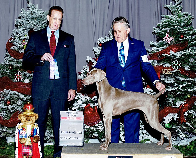 Bulleit_Malibu_Kennel_Club_Show_Winners_Bitch_3_Point_Major_800x642_300dpi.jpg - 137.26 K