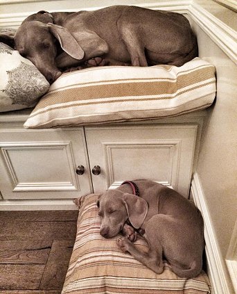 aunt_lucy_and_bulleit_fern_06082014.jpg - 137.26 K