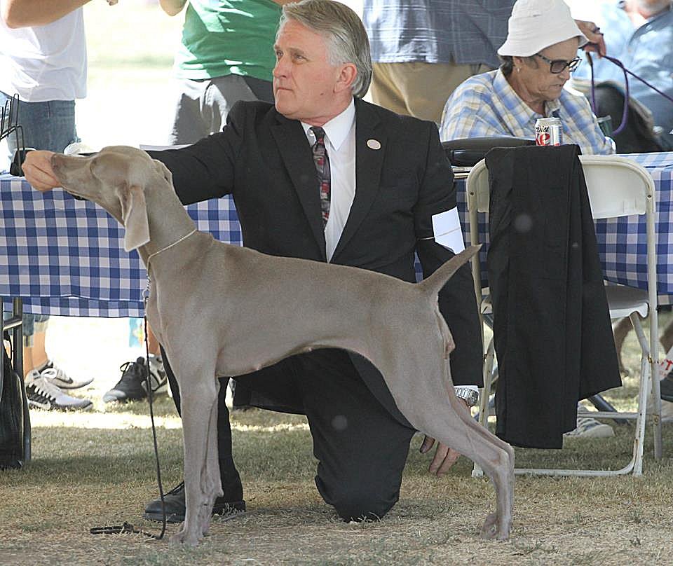 bulleit_bbe_class_lake_mathew_kennel_club_04262015.jpg - 137.26 K