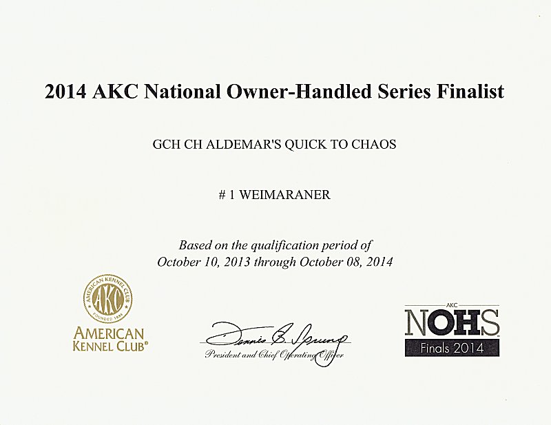Katie_AKC_NOHS_1_Weimaraner.jpg - 155.63 K
