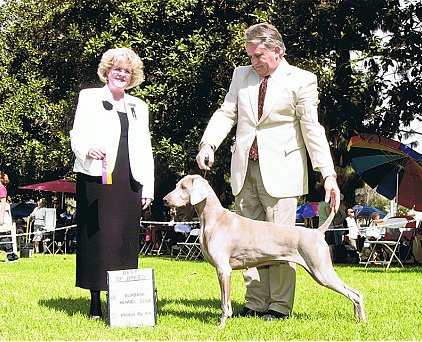 Katie_BOB_Burbank_Kennel_Club_2010.jpg - 75.14 K