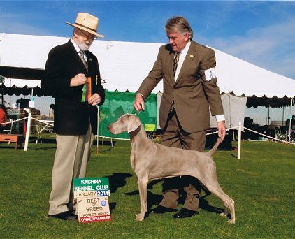 Katie_BOB_Kachina_Kennel_Club_422x342_300dpi.jpg - 155.63 K