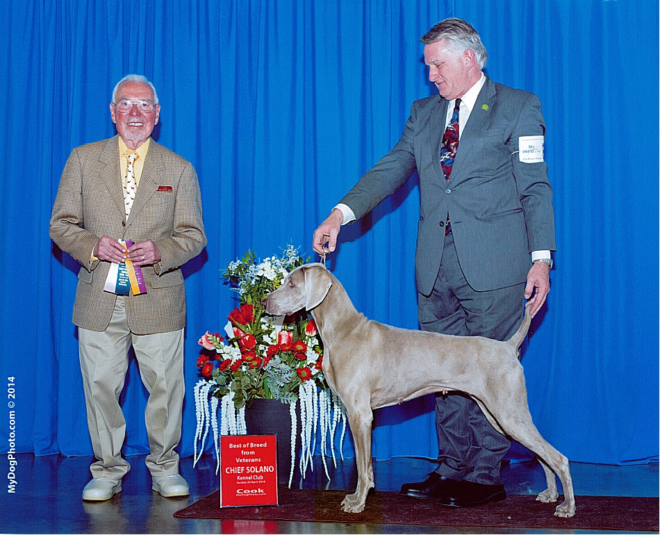 Katie_BOB_Veteran_Chief_Solano_Kennel_Club_2_2014_950x770_300dpi.jpg - 155.63 K
