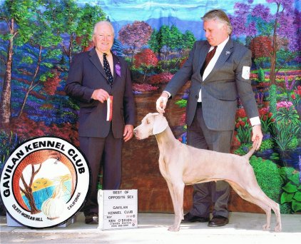 Katie_BOS_Gavilan_Kennel_Club_2012_422x342_300dpi.jpg - 51.76 K