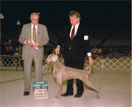 katie 4 bos.jpg - 133.74 K