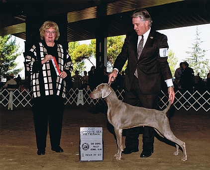 Katie_BOS_VET_San_Gabriel_Valley_Kennel_Club_2012_422x342_300dpi.jpg - 51.76 K