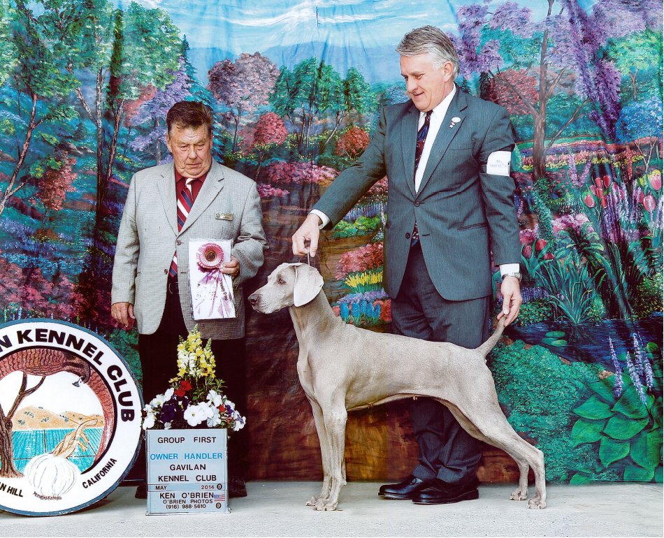 Katie_Best_Owner-Handler_Group_1_Gavilan_Kennel_Club_2014_950x770_300dpi.jpg - 155.63 K