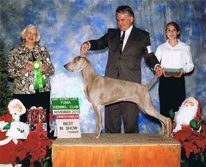 Katie_Best_Owner-Handler_In_Show_Yuma_Kennel_Club_422x342_300dpi.jpg - 155.63 K