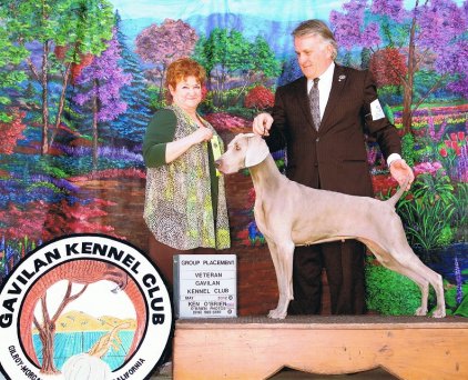 Katie_Best_Veteran_Group_Placement_Gavilan_Kennel_Club_2012_422x342_300dpi.jpg - 51.76 K