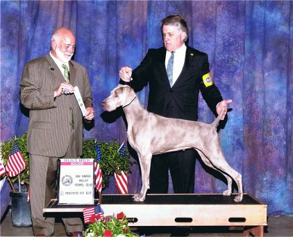 Katie_Major_SEL_Bitch_San_Gabriel_Valley_Kennel_Club_2011.jpg - 47.28 K