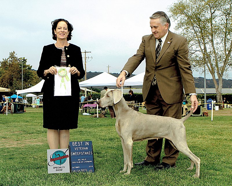 Pleasenton_Weimaraner_Club_Speciality_800x642_300dpi.jpg - 155.63 K