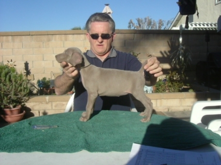 black_puppy_0311.jpg - 93.69 K