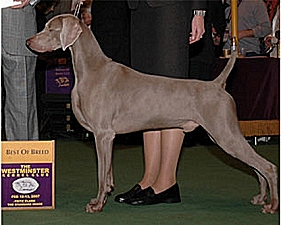 clay_westminister_281x225.jpg - 58.37 K