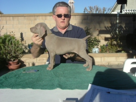 gold_puppuy_0313.jpg - 97.05 K