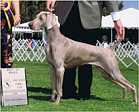 katie_long_beach_281x225.jpg - 76.02 K