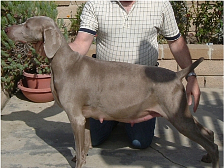 katie_pregnant.JPG - 132.12 K