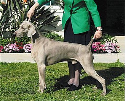 Lance_5yrs_old.jpg - 128.21 K