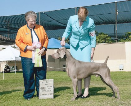 lance_best_maturity_wca_2011.jpg - 164.67 K