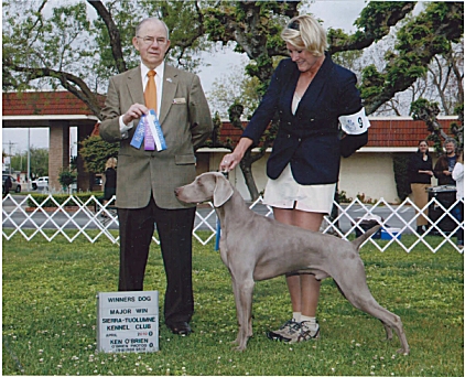 lance_wd_major.jpg - 170.80 K