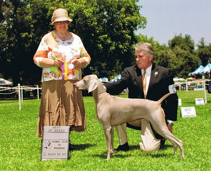 Misty_BOB_Kennel_Club_of_Pasadena_2012.jpg - 106.57 K