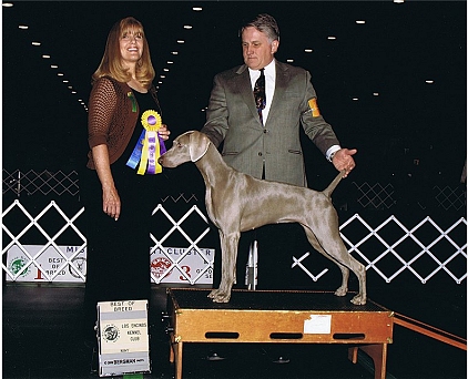 Misty_BOB_Los_Encinos_Kennel_Club_2009.jpg - 124.94 K