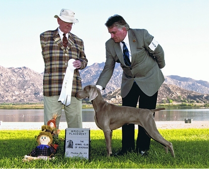 Misty_Grp4_Kennel_Club_of_Riverside_2010.jpg - 130.17 K