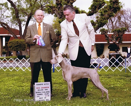 Misty_Major_Championship_2010.jpg - 171.47 K