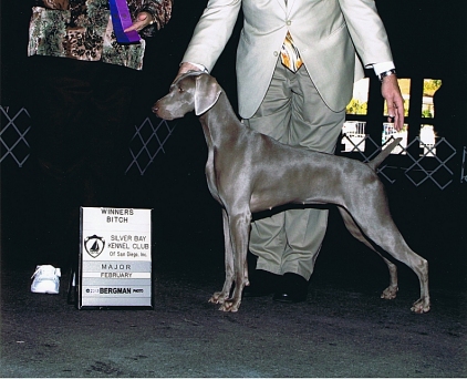 Misty_Major_Silver_Bay_Kennel_Club_2010.jpg - 113.51 K