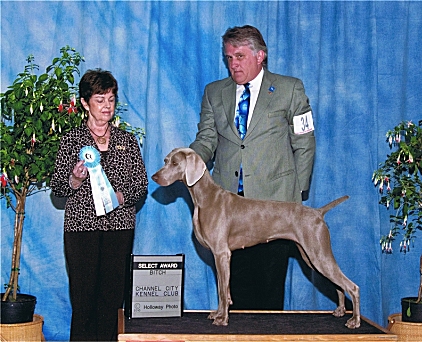 Misty_SEL_Bitch_GCH_Major_Channel_City_Kennel_Club_2010.jpg - 157.03 K