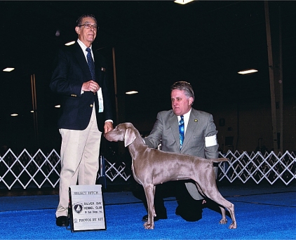 Misty_SEL_Bitch_GCH_Siliver_Bay_Kennel_Club_2011.jpg - 105.86 K