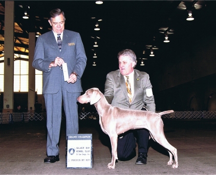 Misty_SEL_Bitch_New_GCH_Silver_Bay_Kennel_Club_2011.jpg - 106.57 K