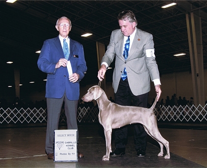 Misty_SEL_Cabrillo_Kennel_Club_2010.jpg - 113.04 K