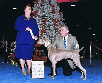 Misty_SEL_Long_Beach_Kennel_Club_2010.jpg - 121.49 K