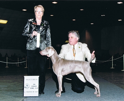 Misty_SEL_San_Fernando_Kennel_Club_2011.jpg - 102.51 K