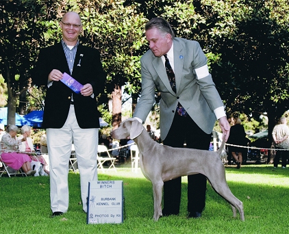 Misty_WB_Burbank_Kennel_Club_2009.jpg - 172.93 K