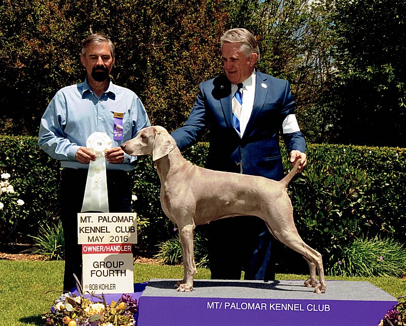 Mt_Palomar_Kennel_Club_NOHS_Grp4_2016_800x642_300dpi.jpg - 106.57 K