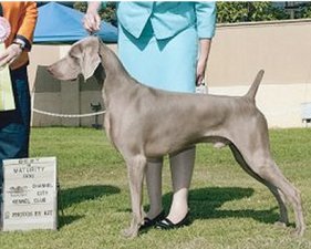 Lance.jpg - 141.29 K