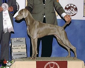 Misty.jpg - 141.29 K