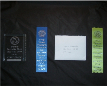 misty_1st_place_wwwc.jpg - 75.60 K