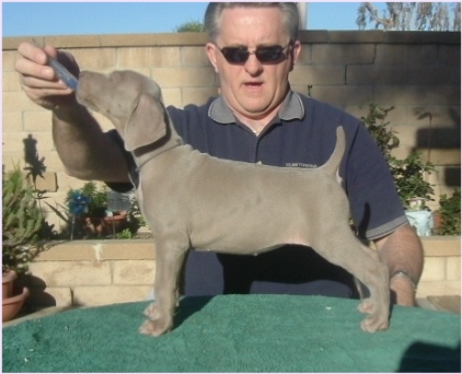 misty_rose_7weeks.jpg - 49.4 K