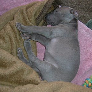 Charlotte_2_3weeks.jpg - 20.4 K