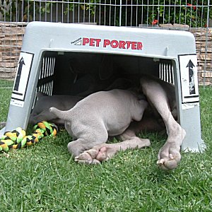 Mom_and_Us_in_Fort_4weeks.jpg - 20.4 K