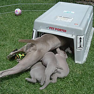 Mom_entering_Fort_4weeks.jpg - 20.4 K