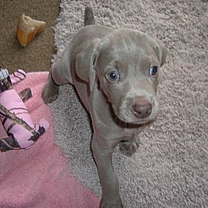 Nellie_1_4weeks.jpg - 20.4 K