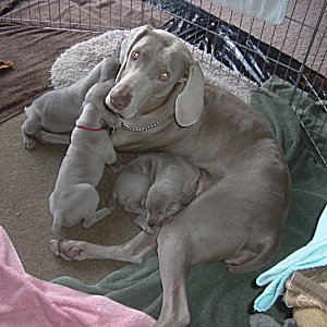 Us_and_Mom_4weeks.jpg - 20.4 K