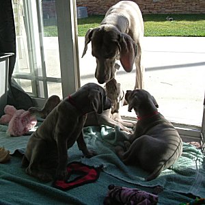 Mom_checking_on_Us_6weeks.jpg - 20.4 K