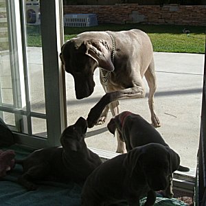 Mom_talking_to_Us_6weeks.jpg - 20.4 K