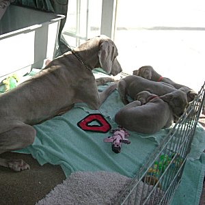 Mom_telling_us_Story_6weeks.jpg - 20.4 K