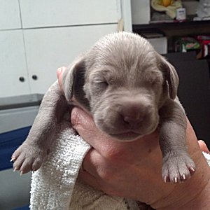 charlotte_5_minutes.jpg - 20.4 K